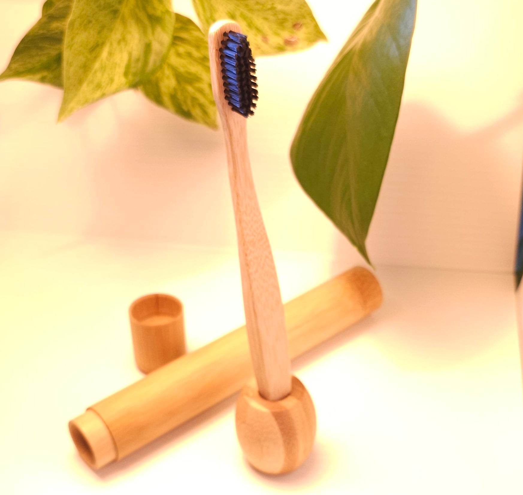 toothbrush holder doing its job holding bamboo toothrbrush