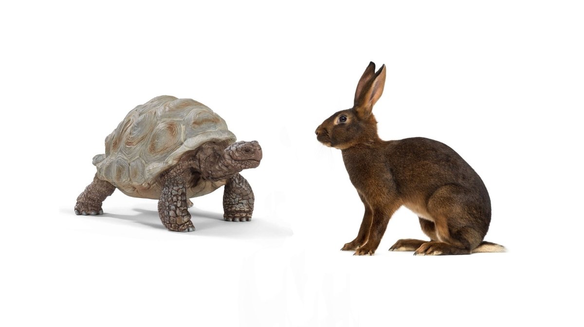 Slow Fashion vs. Fast Fashion - It is a Race Our Planet Cannot Afford to Lose. | CaroQuilla