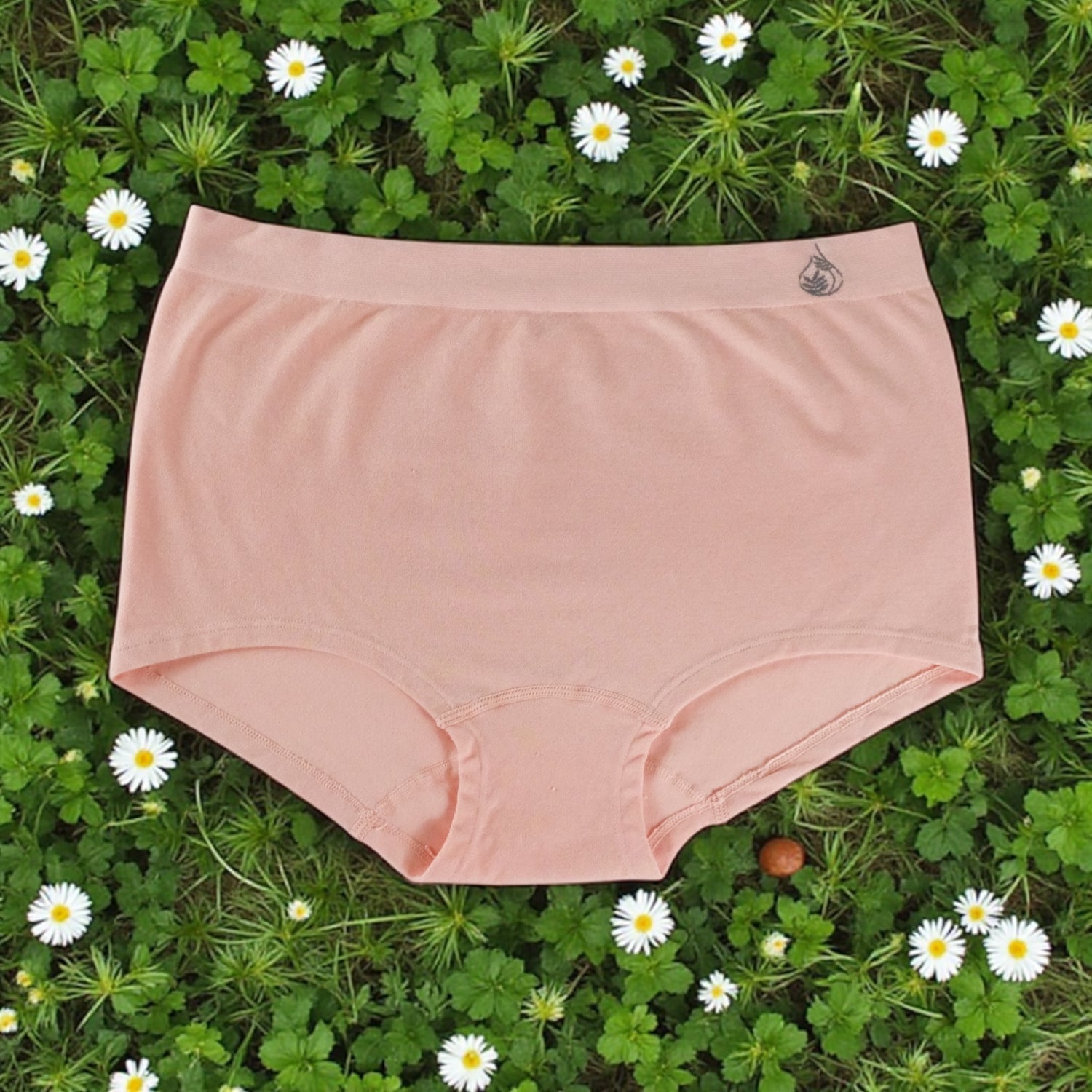 flat lay of bamboo dusty rose brief
